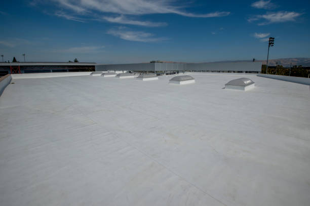 Best Storm Damage Roof Repair  in Tuscola, IL