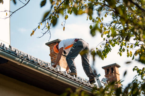 Asphalt Shingles Roofing in Tuscola, IL