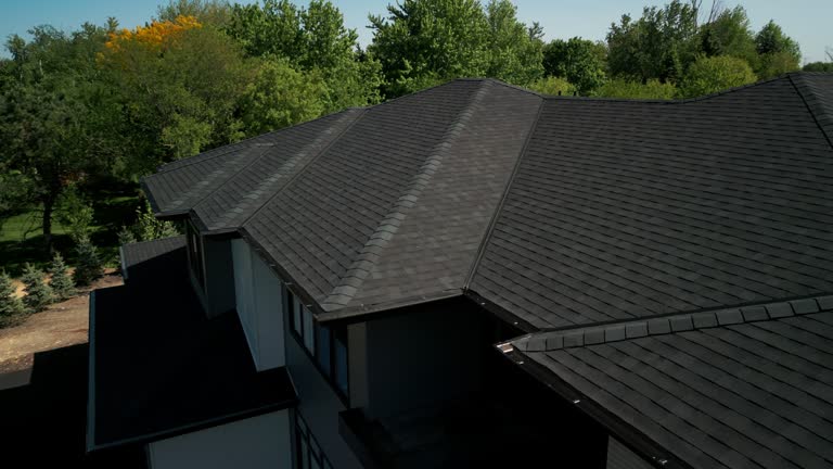 Best Solar Panel Roofing Installation  in Tuscola, IL