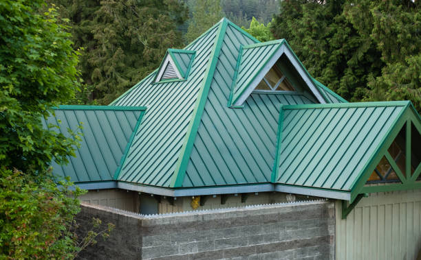Best Roof Leak Repair  in Tuscola, IL