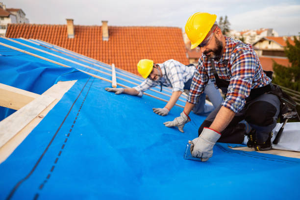 Best Metal Roofing Installation  in Tuscola, IL