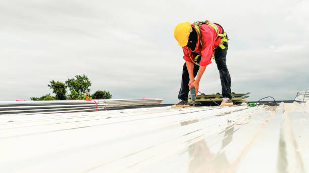 Roof Coating Services in Tuscola, IL