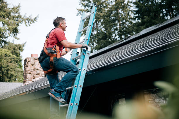 Best Skylight Installation and Repair  in Tuscola, IL